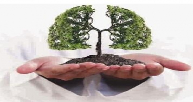 细谈硝心痛及硝酸甘油