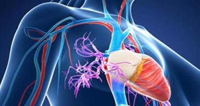 预防血管老化从正确的生活方式入手